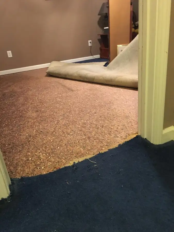 Carpet pad removal revealing water damage during Water Mitigation Services in Fall River